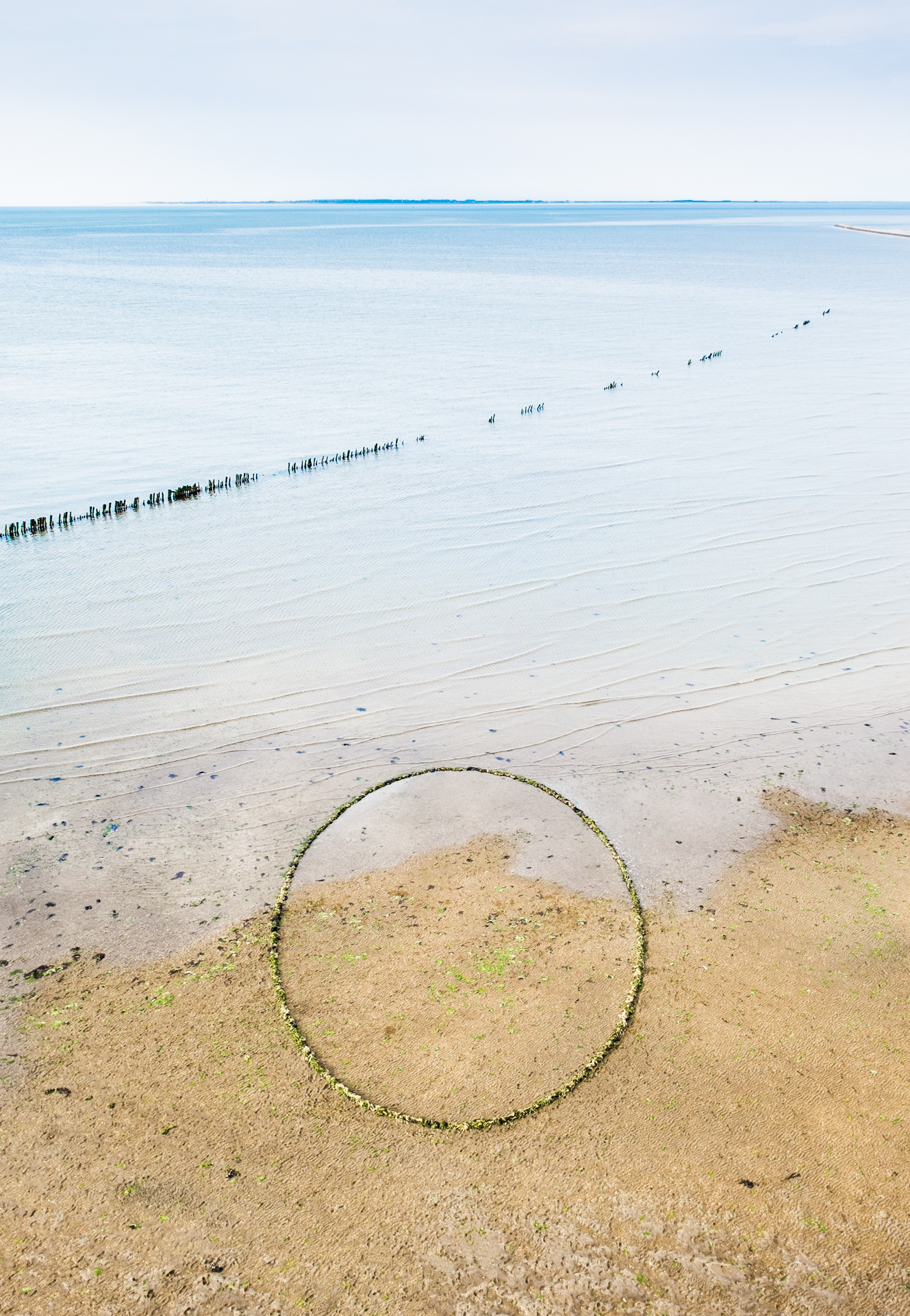Zeewier cirkel