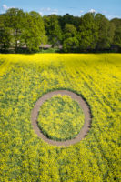 Koolzaad Cirkel