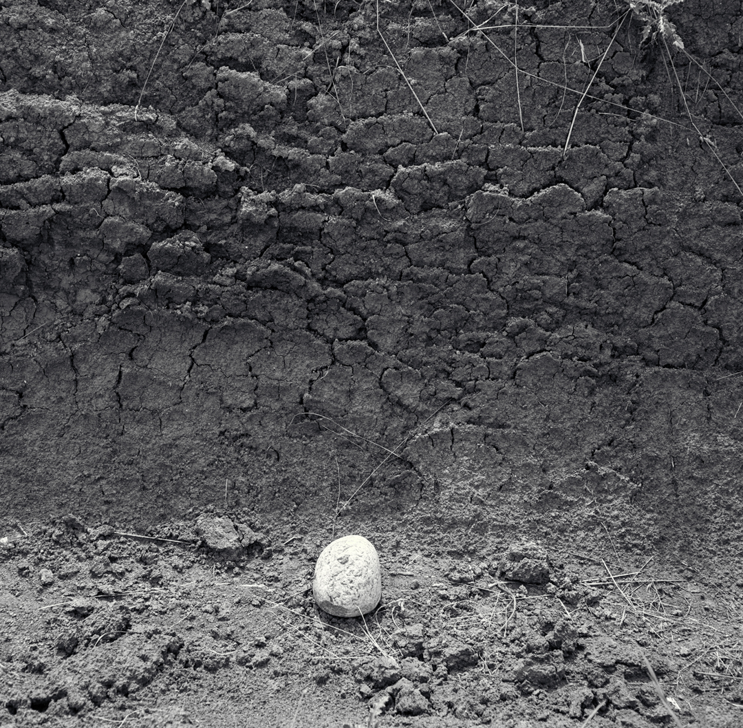 Analoog zwartwit 6×6