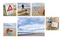 Verzamelde Schelpen