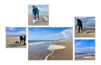 Verzamelde Schelpen